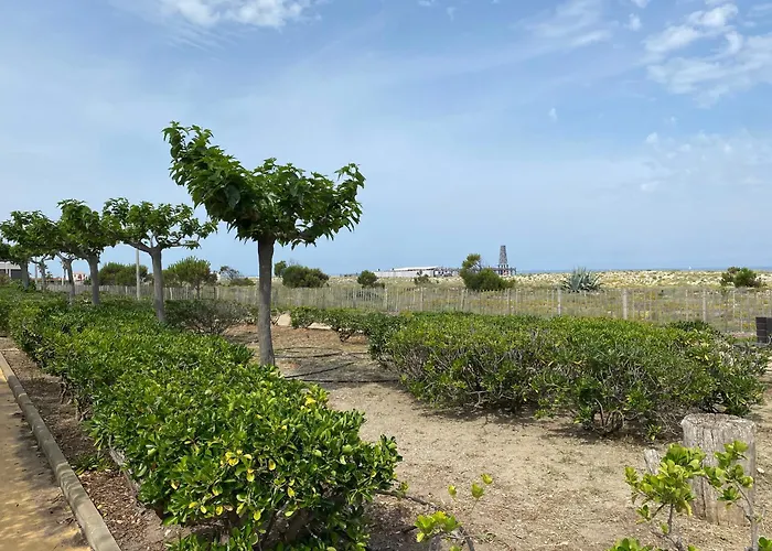Villa T3 Climatisée à Port Leucate, 6 Pers, Proche Avec Parking Sécurisé - Fr-1-798-33 Leucate